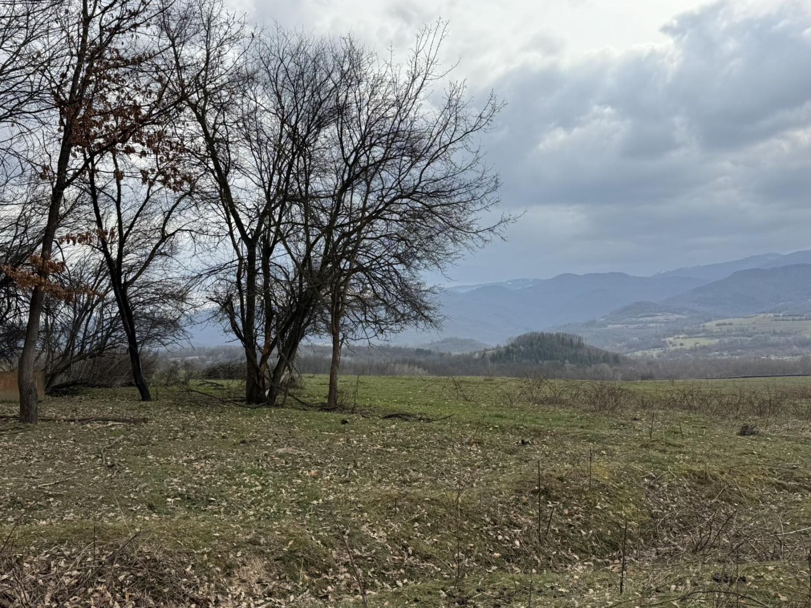 ������� ���������� ���� | Imot.bg � ����������� 6