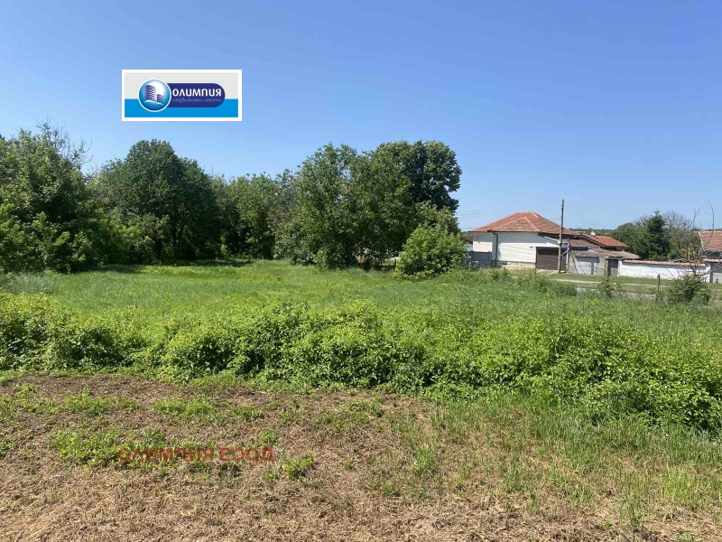 Продава БИЗНЕС ИМОТ, с. Червена вода, област Русе, снимка 5 - Други - 50777223