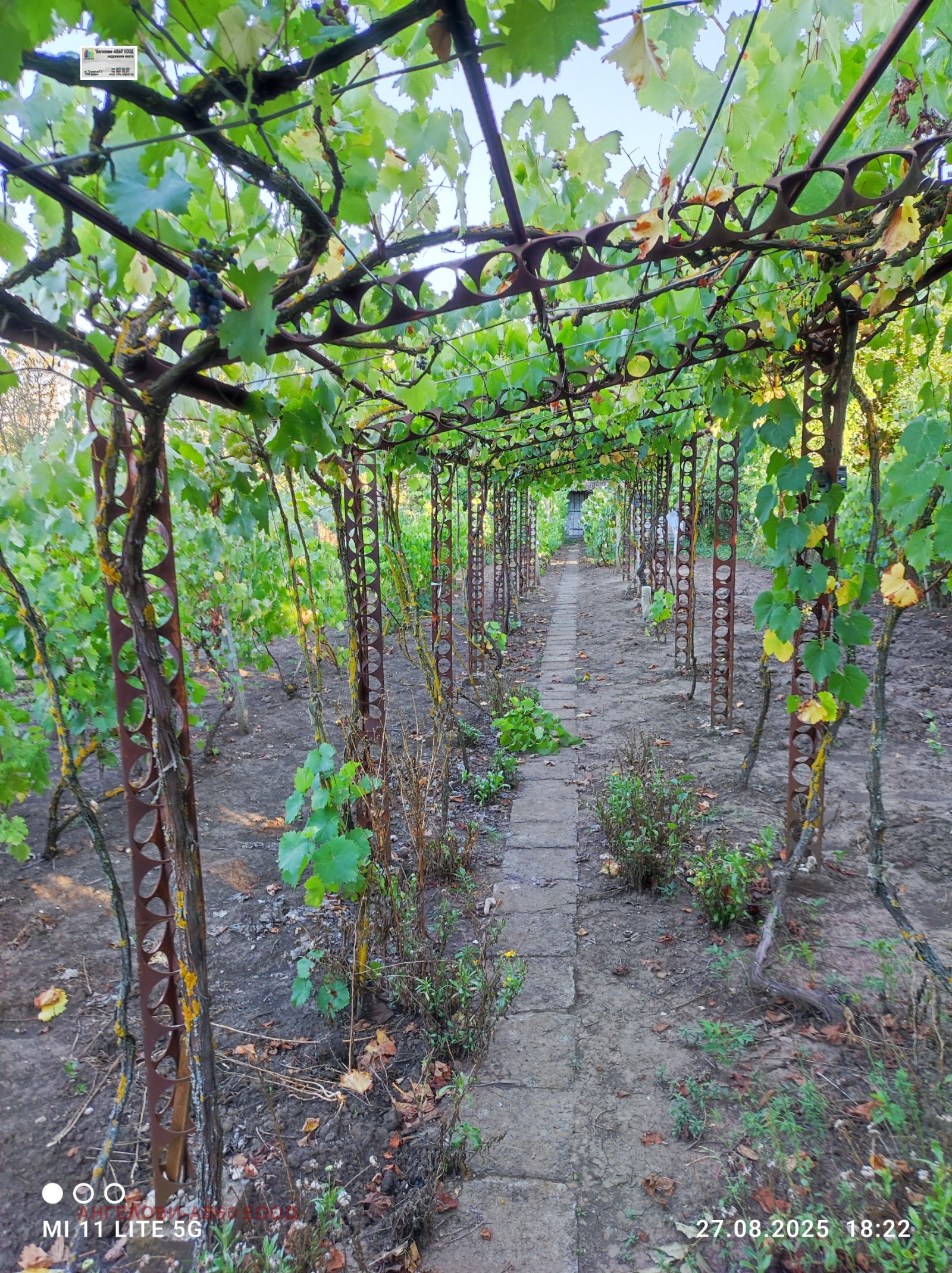 ������� ������ | Imot.bg � ����������� 1