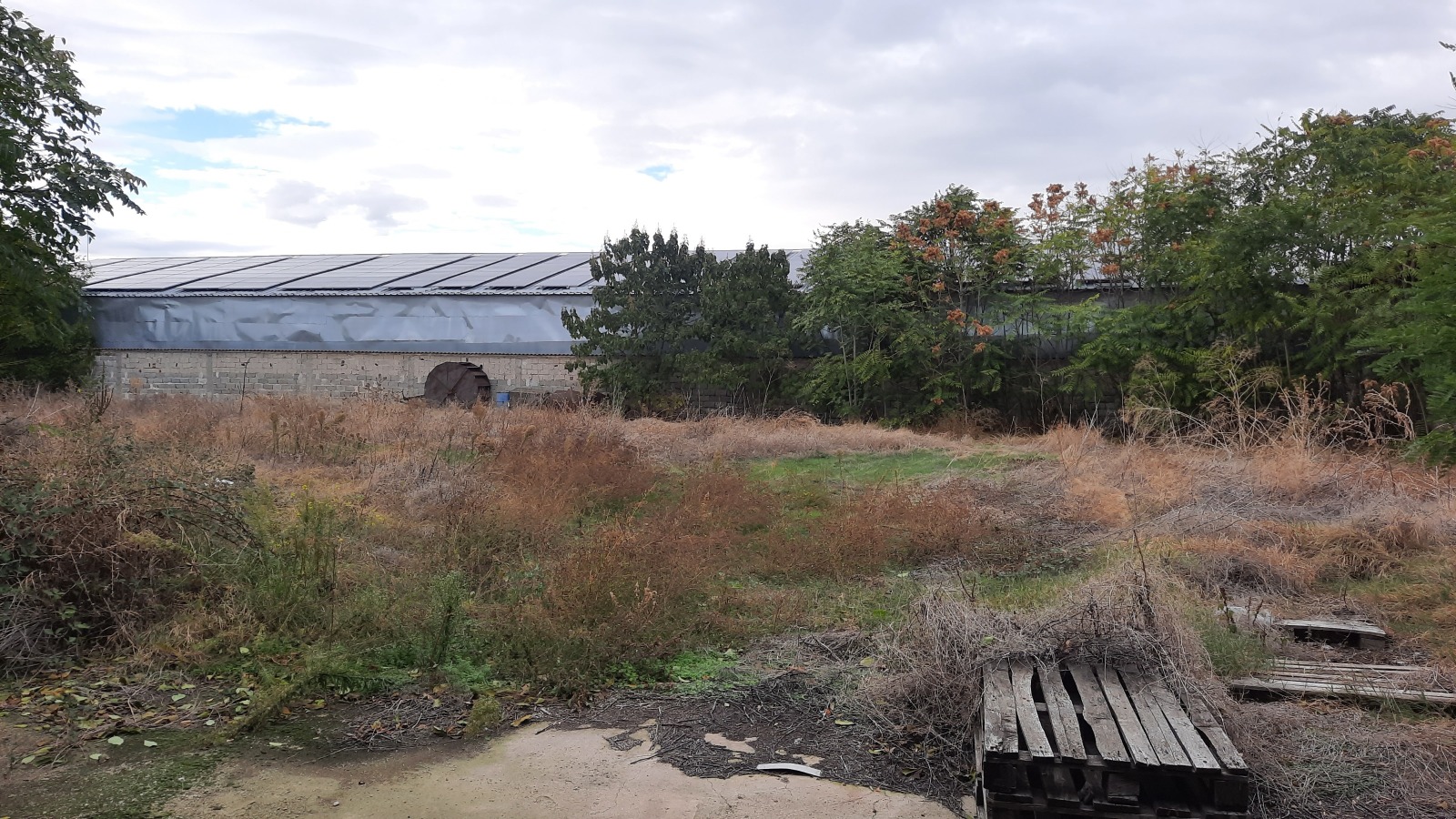 ������� ������ | Imot.bg � ����������� 12