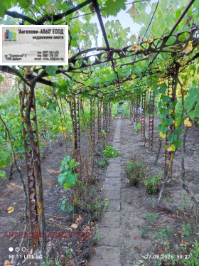 ����� ������� ������,���� ������, �-� ��������