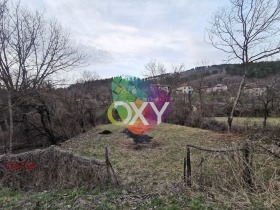 ����� ������� ������,�. ����� �����, ������ �����