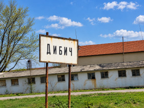 Продава  Парцел, с. Дибич