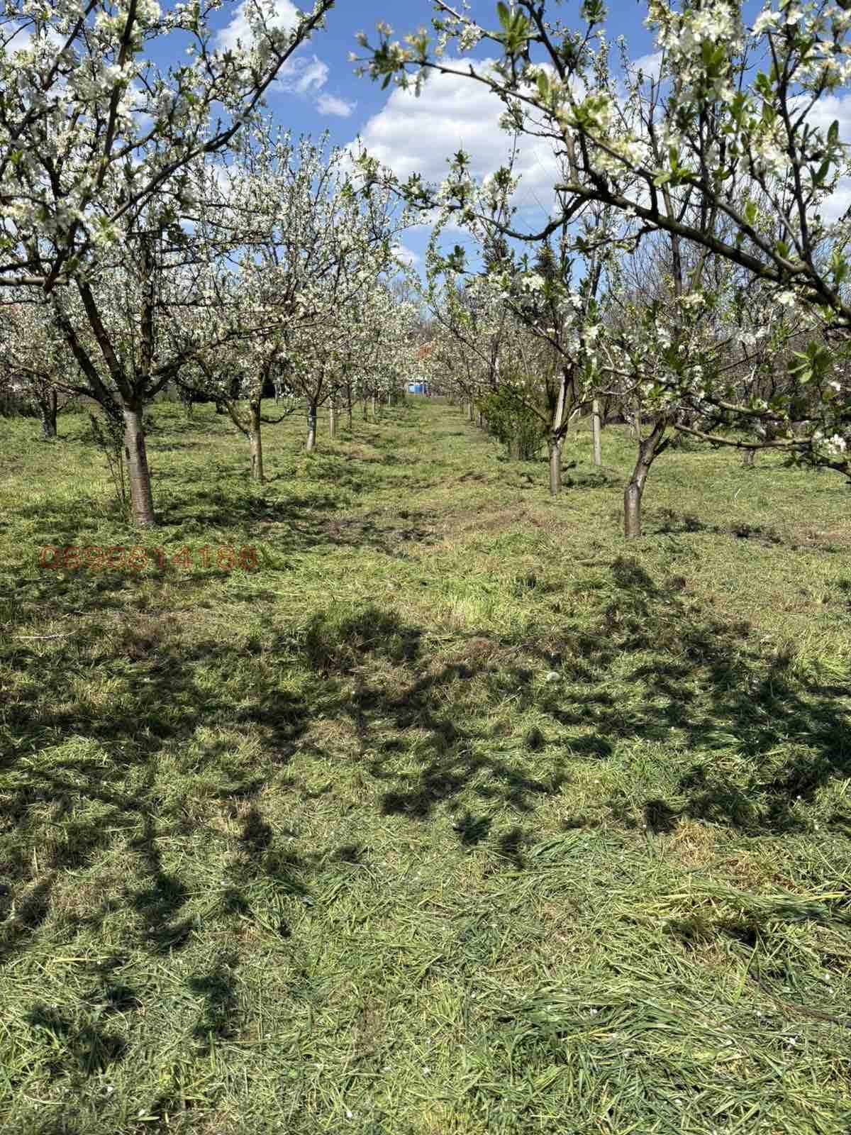 Продава ПАРЦЕЛ, с. Генерал Киселово, област Варна, снимка 5 - Парцели - 56563489