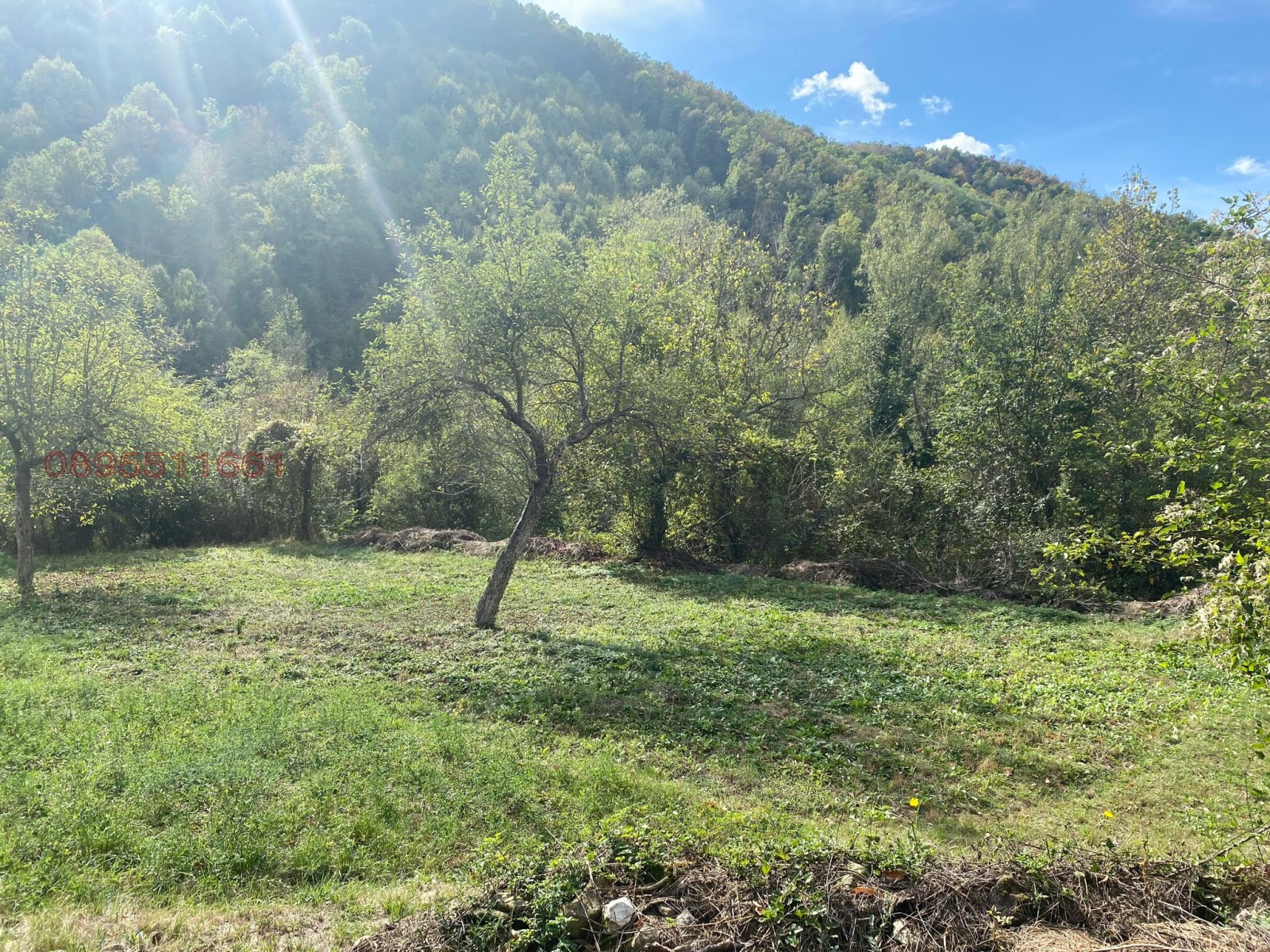 Продава КЪЩА, с. Шодековци, област Велико Търново, снимка 3 - Къщи - 55047751