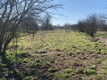Продава ПАРЦЕЛ, област Добрич, с. Граничар • 27000 лв. • 61254518 — Holmes.bg