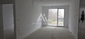 ����� ������� 2-�����,���� ������, ���������