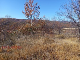 Parcelle Goutsal, région Sofia 3