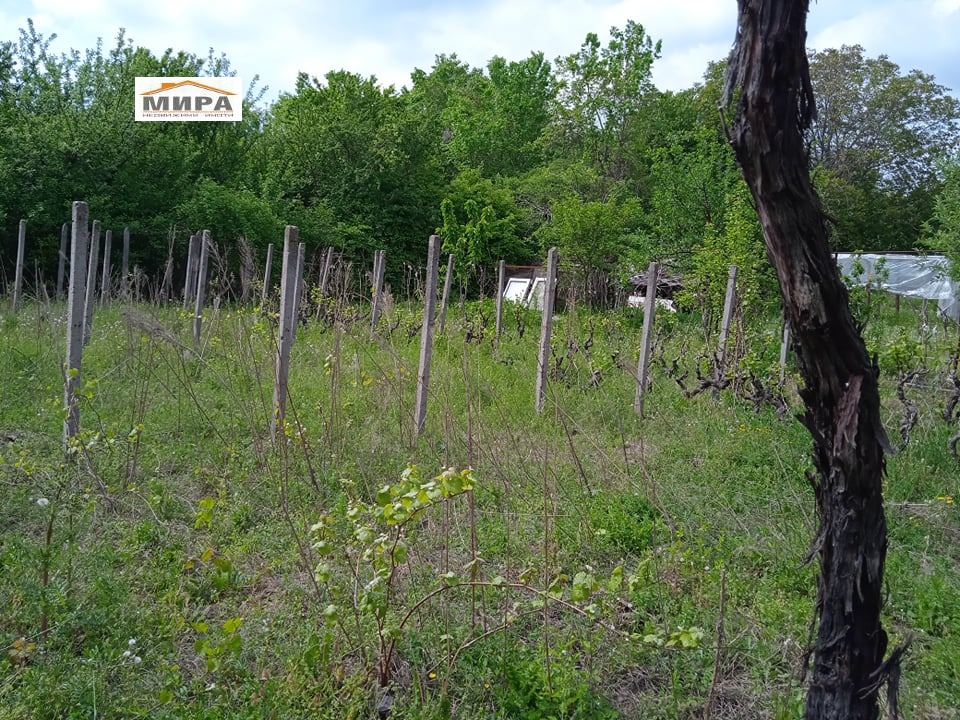 ������� ���� | Imot.bg � ����������� 3