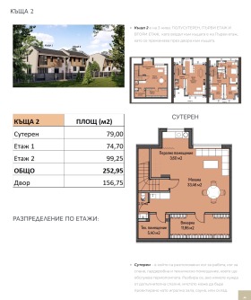 ����� ������� ����,���� �����, ����������