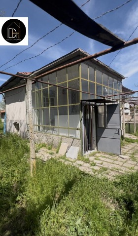 ������ ������� ����