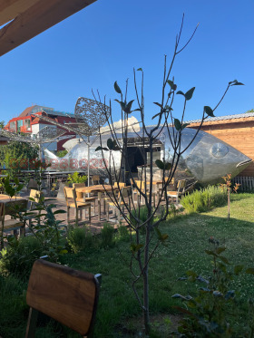 ������� ��������� | Imot.bg � ����� ������ 3