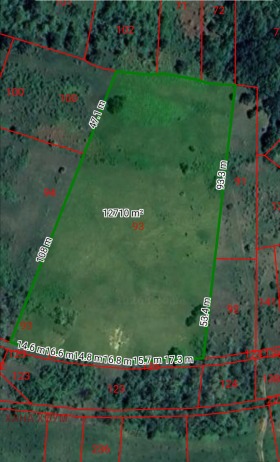 ����� ������� ������,�. ����� �����, ������ �����