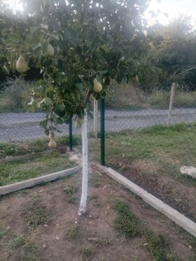������� ������ | Imot.bg � ����� ������ 4