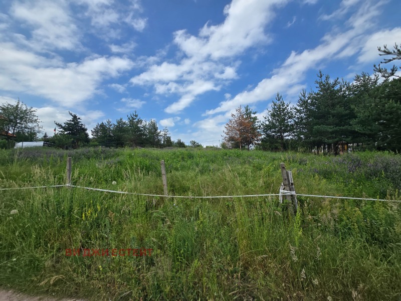 Zu verkaufen  Haus region Sofia , Wakarel , 232 qm | 48453398 - Bild [6]