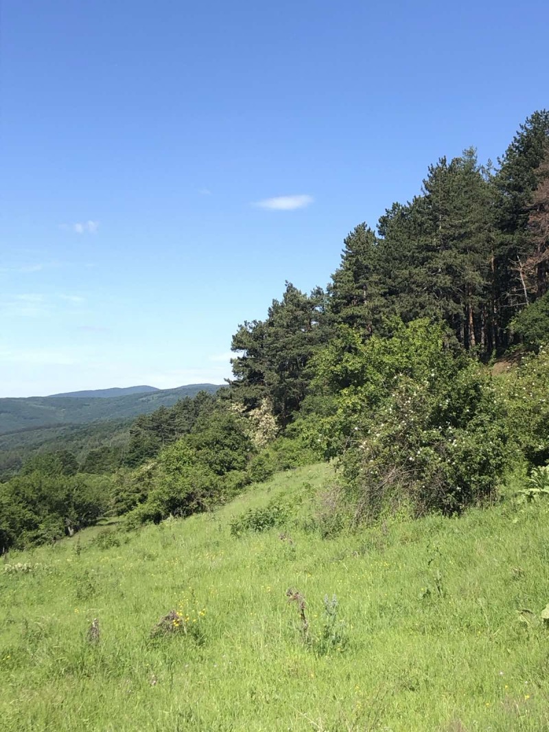 Продава ПАРЦЕЛ, с. Стъргел, област София област, снимка 3 - Парцели - 52403784