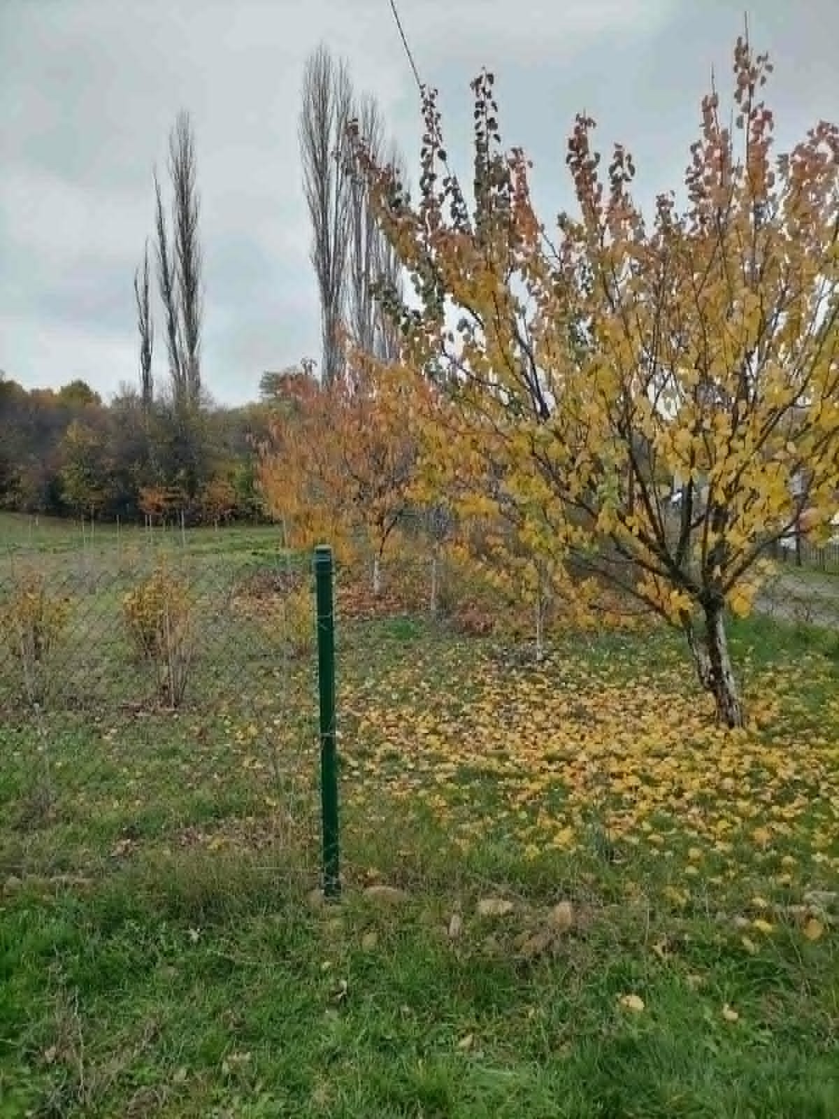 Продава ПАРЦЕЛ, гр. Перник, Църква, снимка 8 - Парцели - 54590675