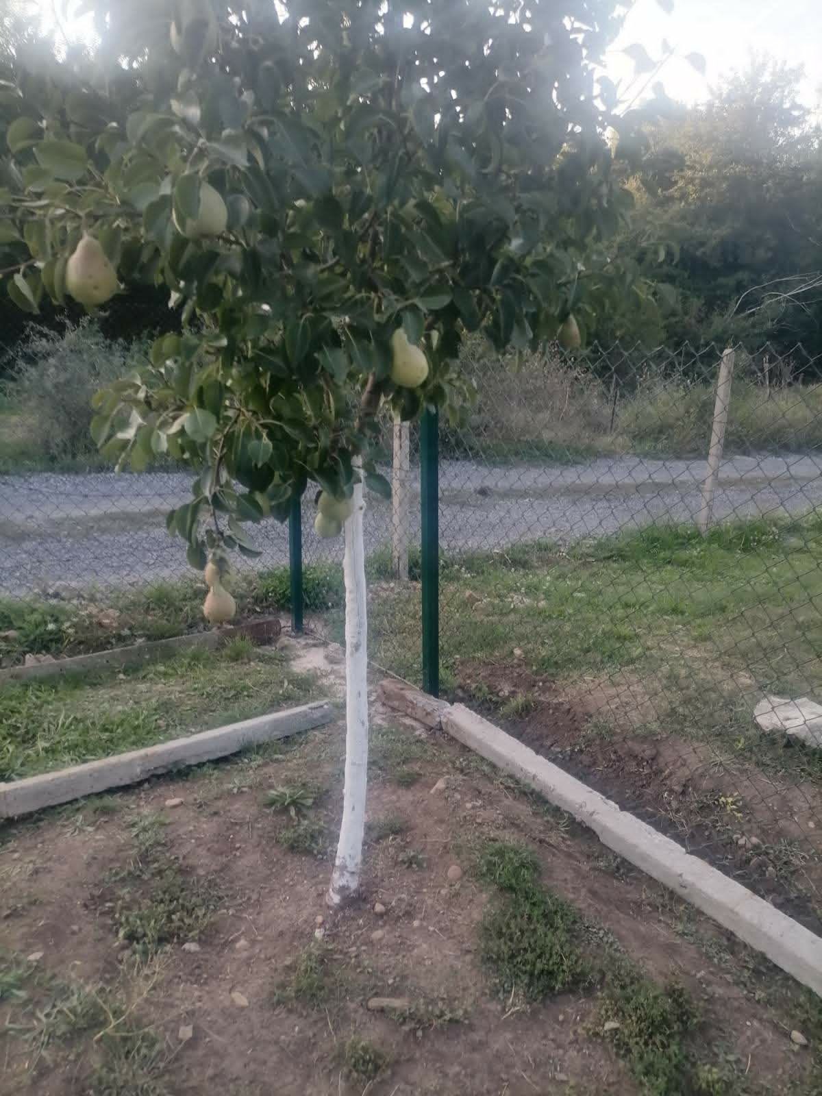Продава ПАРЦЕЛ, гр. Перник, Църква, снимка 4 - Парцели - 54590675