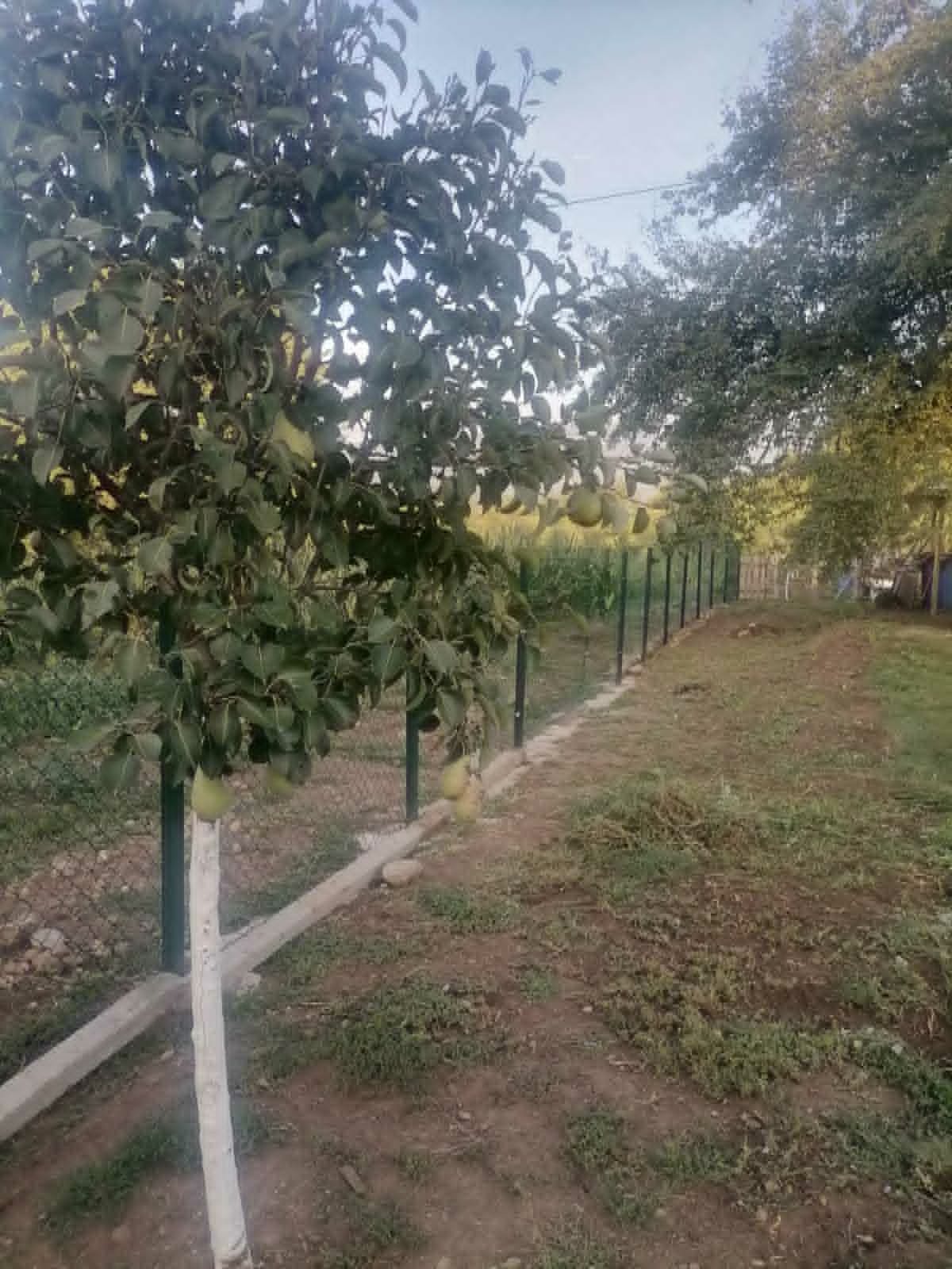 Продава ПАРЦЕЛ, гр. Перник, Църква, снимка 3 - Парцели - 54590675