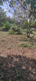 Продава ПАРЦЕЛ, с. Мусина, област Велико Търново, снимка 2