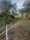 Продава ПАРЦЕЛ, гр. Перник, Църква, снимка 3