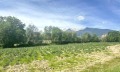 Продава ПАРЦЕЛ, гр. Банско, област Благоевград, снимка 3
