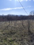Продава ПАРЦЕЛ, област Велико Търново, с. Правда • 63000 лв. • 11413985 — Holmes.bg