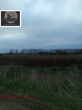 ����� ������� ������,�. ��������, ������ ���������