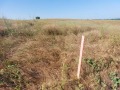 Продава ПАРЦЕЛ, с. Горица, област Варна, снимка 2