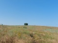 Продава ПАРЦЕЛ, област Варна, с. Горица • 136480 € • 28315581 — Holmes.bg