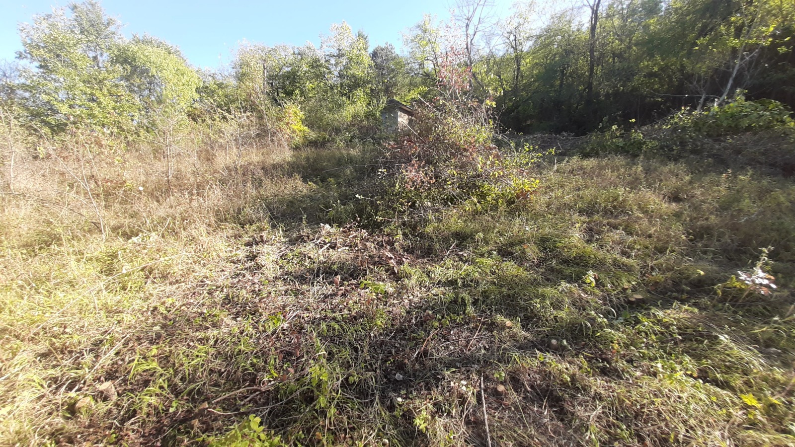 ������� ������ | Imot.bg � ����������� 5