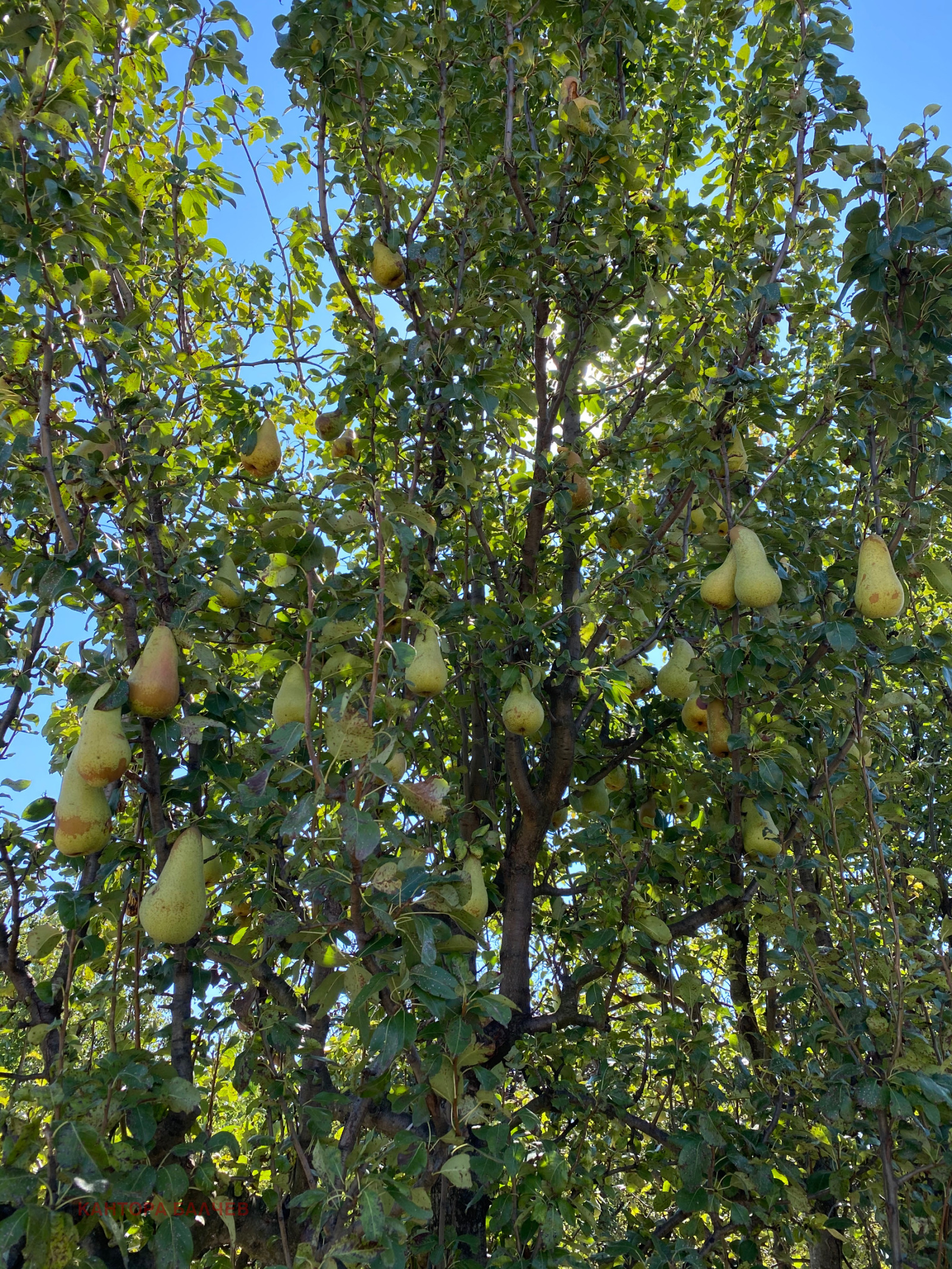 ������� ���������� ���� | Imot.bg � ����������� 2