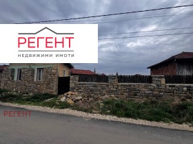 ������ ������� ����