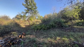 ������� ������ | Imot.bg � ����� ������ 3