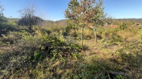 ������� ������ | Imot.bg � ����� ������ 6