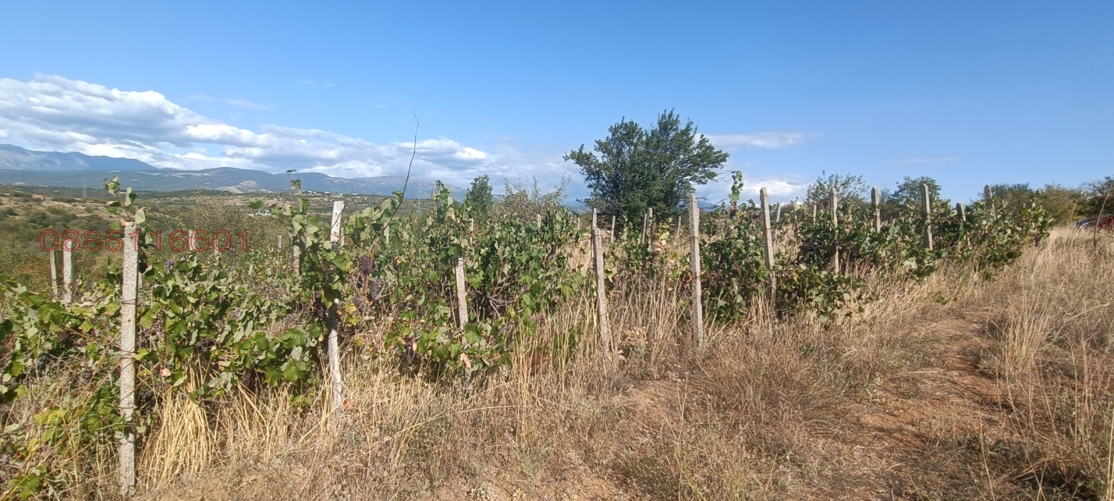 ������� ���������� ���� | Imot.bg � ����������� 7