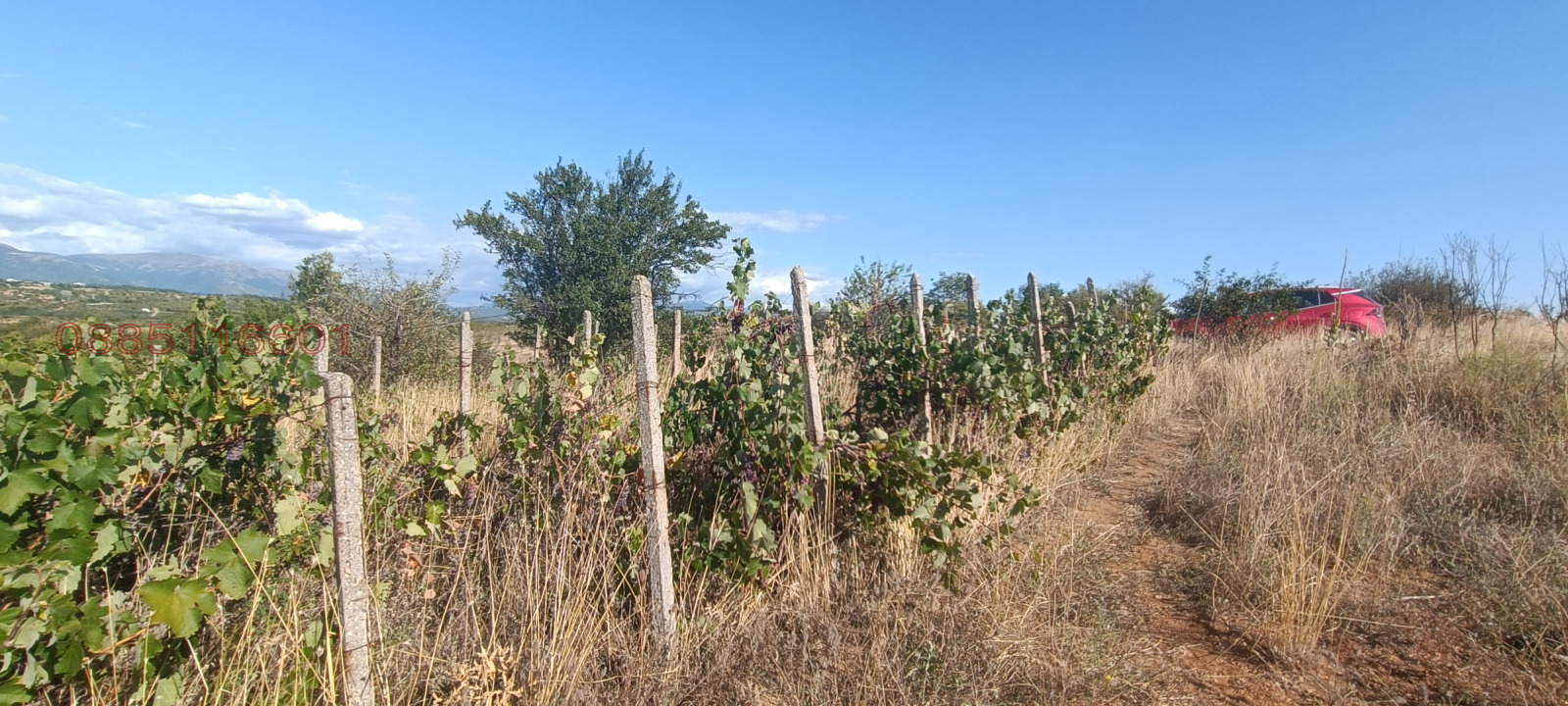 ������� ���������� ���� | Imot.bg � ����������� 9