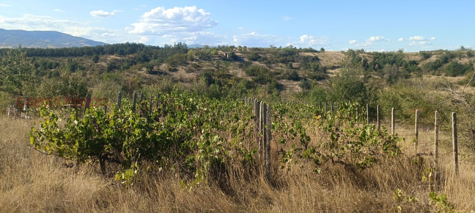 ������� ���������� ���� | Imot.bg � ����������� 12