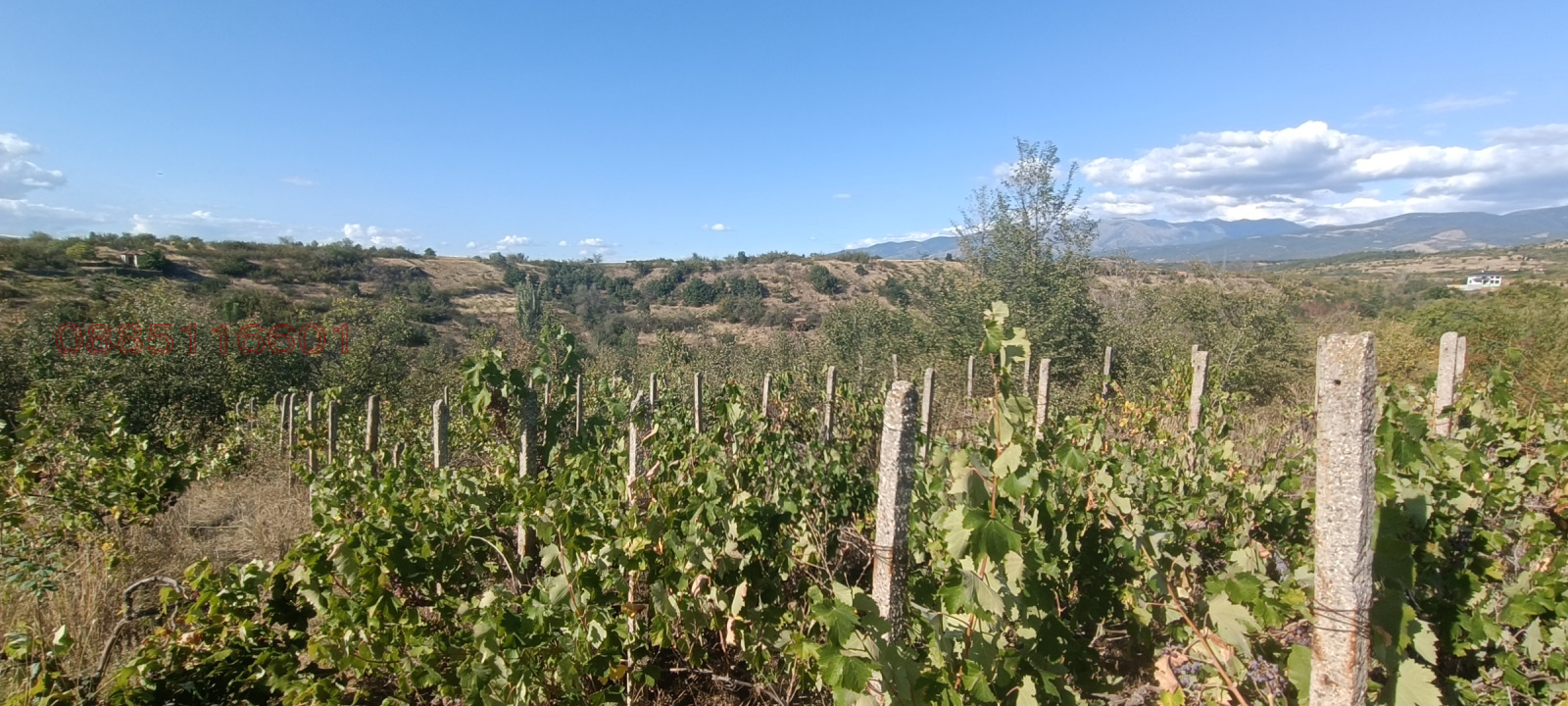 ������� ���������� ���� | Imot.bg � ����������� 1