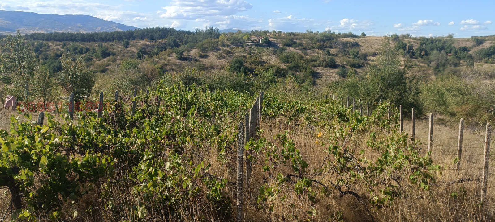 ������� ���������� ���� | Imot.bg � ����������� 10