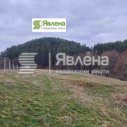 Продава ПАРЦЕЛ, гр. Велинград, област Пазарджик, снимка 1 - Парцели - 49171285