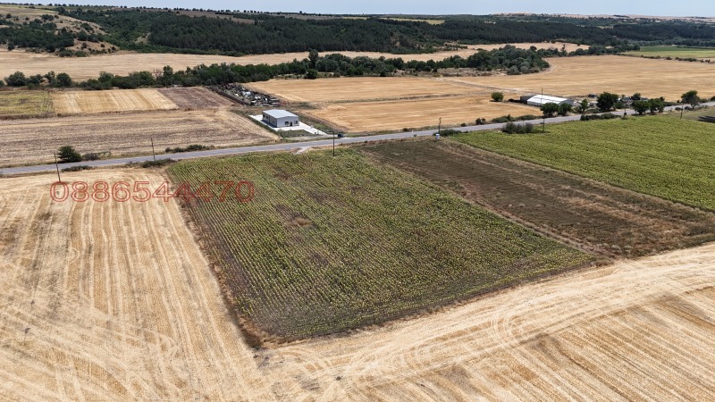 Продава  Парцел област Хасково , гр. Свиленград , 10681 кв.м | 24007907 - изображение [9]
