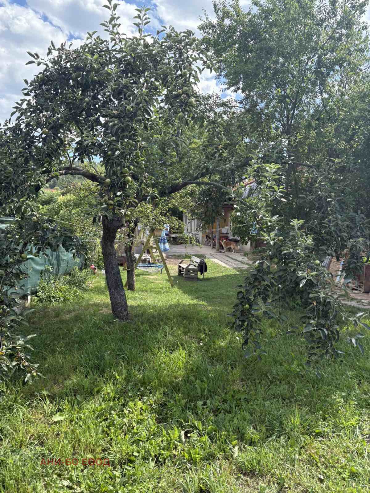 Продава КЪЩА, с. Чавдар, област София област, снимка 12 - Къщи - 55192484