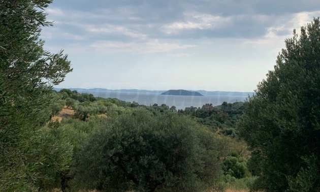 ������� ������ | Imot.bg � ����������� 4