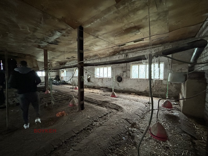 Zu verkaufen  Industriegebäude region Dobritsch , Dontschewo , 2581 qm | 99858273 - Bild [12]