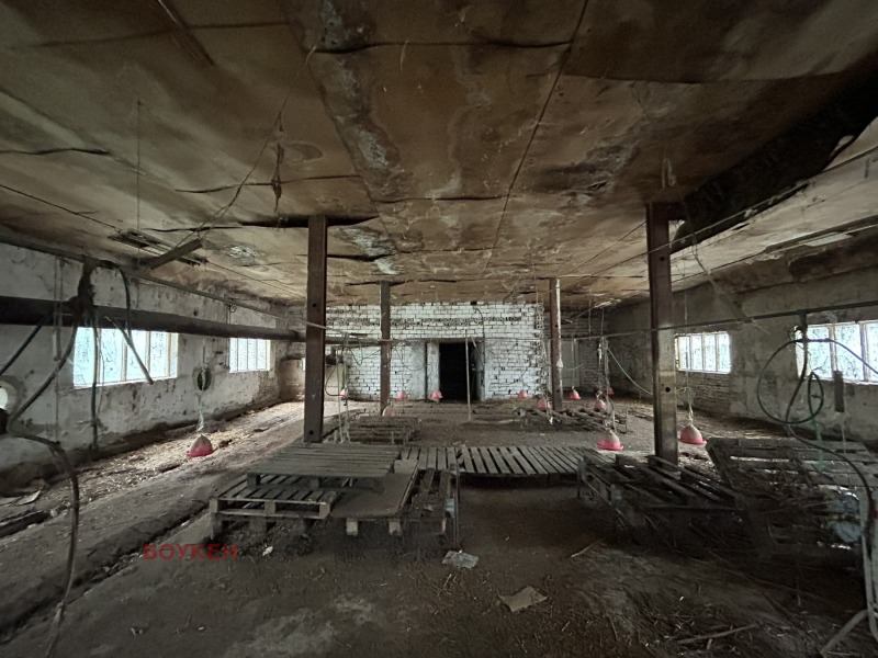 Zu verkaufen  Industriegebäude region Dobritsch , Dontschewo , 2581 qm | 99858273 - Bild [13]