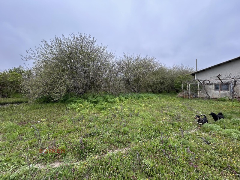 Zu verkaufen  Industriegebäude region Dobritsch , Dontschewo , 2581 qm | 99858273 - Bild [14]