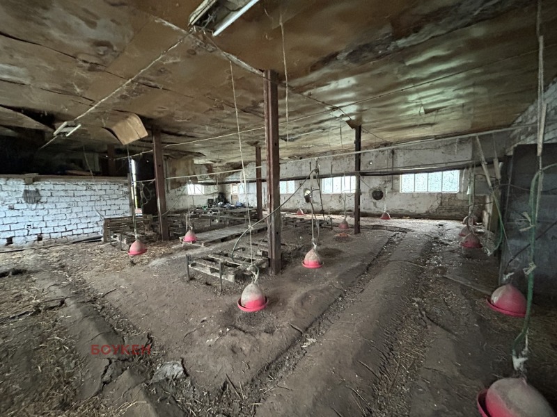 Zu verkaufen  Industriegebäude region Dobritsch , Dontschewo , 2581 qm | 99858273 - Bild [10]