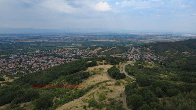 À vendre  Parcelle région Plovdiv , Brestovitsa , 3000 m² | 29599134