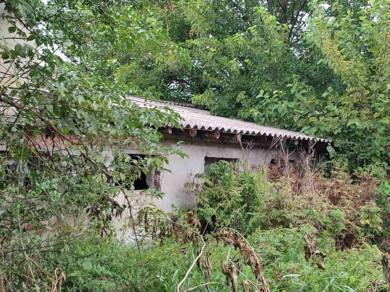 Продава БИЗНЕС ИМОТ, с. Боянци, област Пловдив, снимка 4 - Други - 52973436